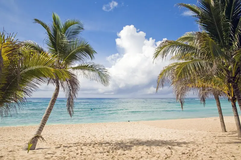 Playa de arena blanca con palmeras y agua cristalina